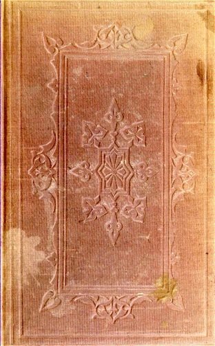 The Bunsby Papers (second series): Irish Echoes cover