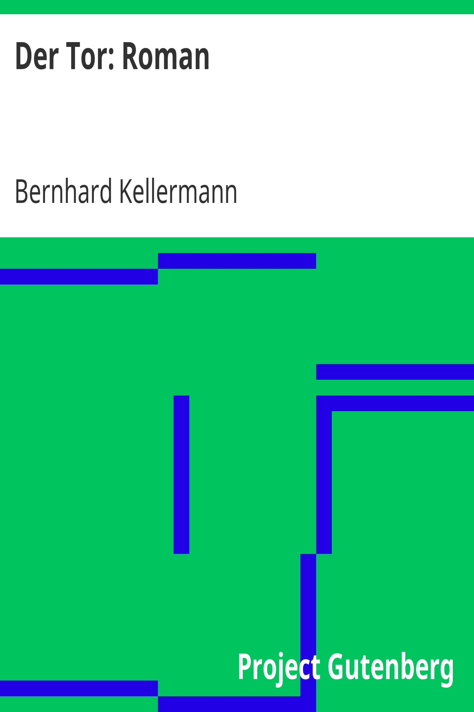 Der Tor: Roman cover