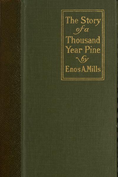 The Story of a Thousand-Year Pine cover