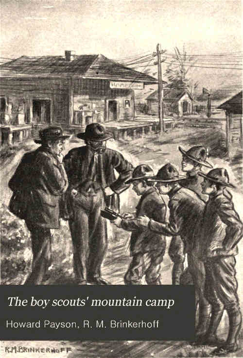 The Boy Scouts' Mountain Camp cover