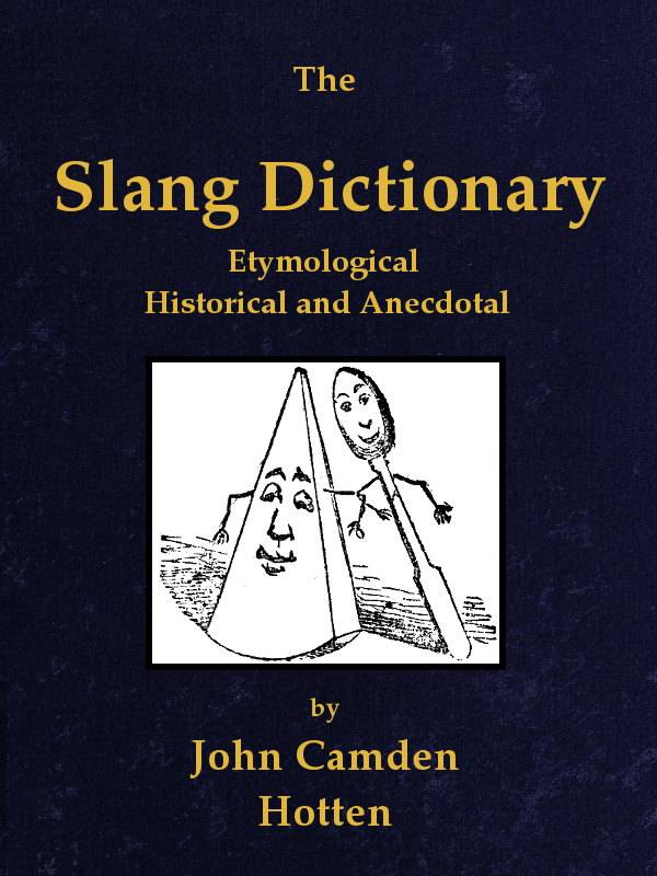 The slang dictionary cover