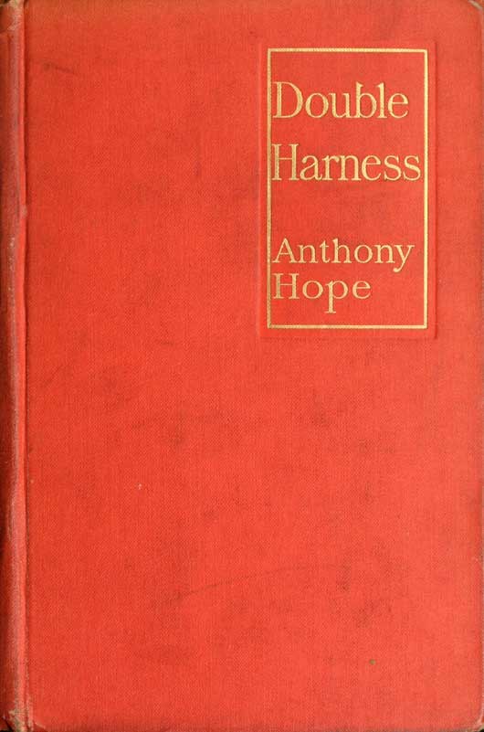 Double Harness cover