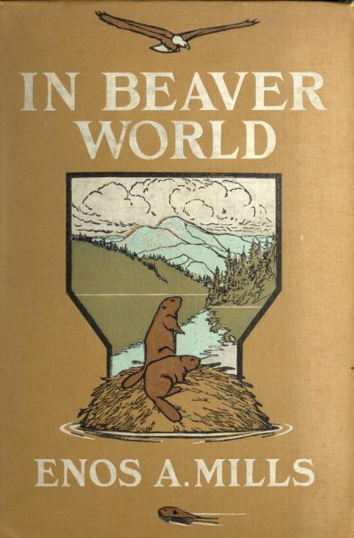 In Beaver World cover