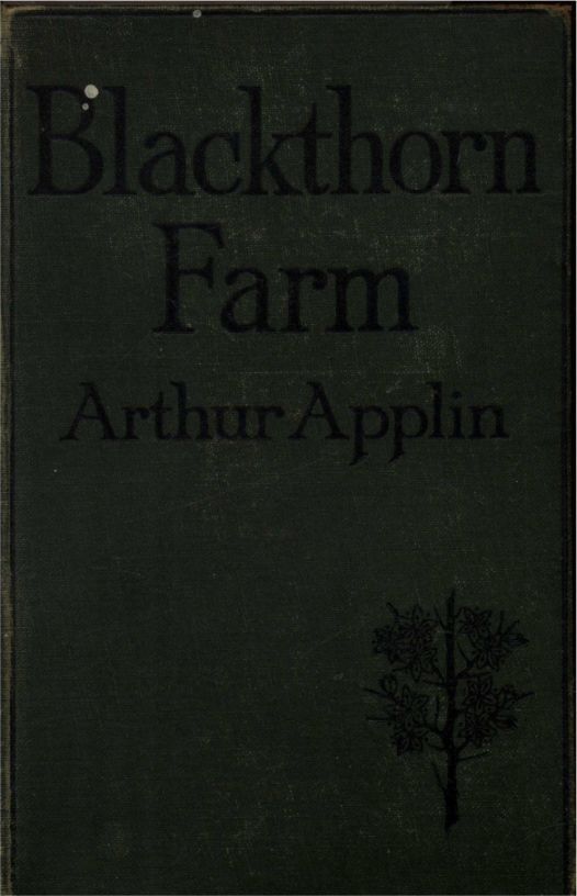 Blackthorn Farm cover