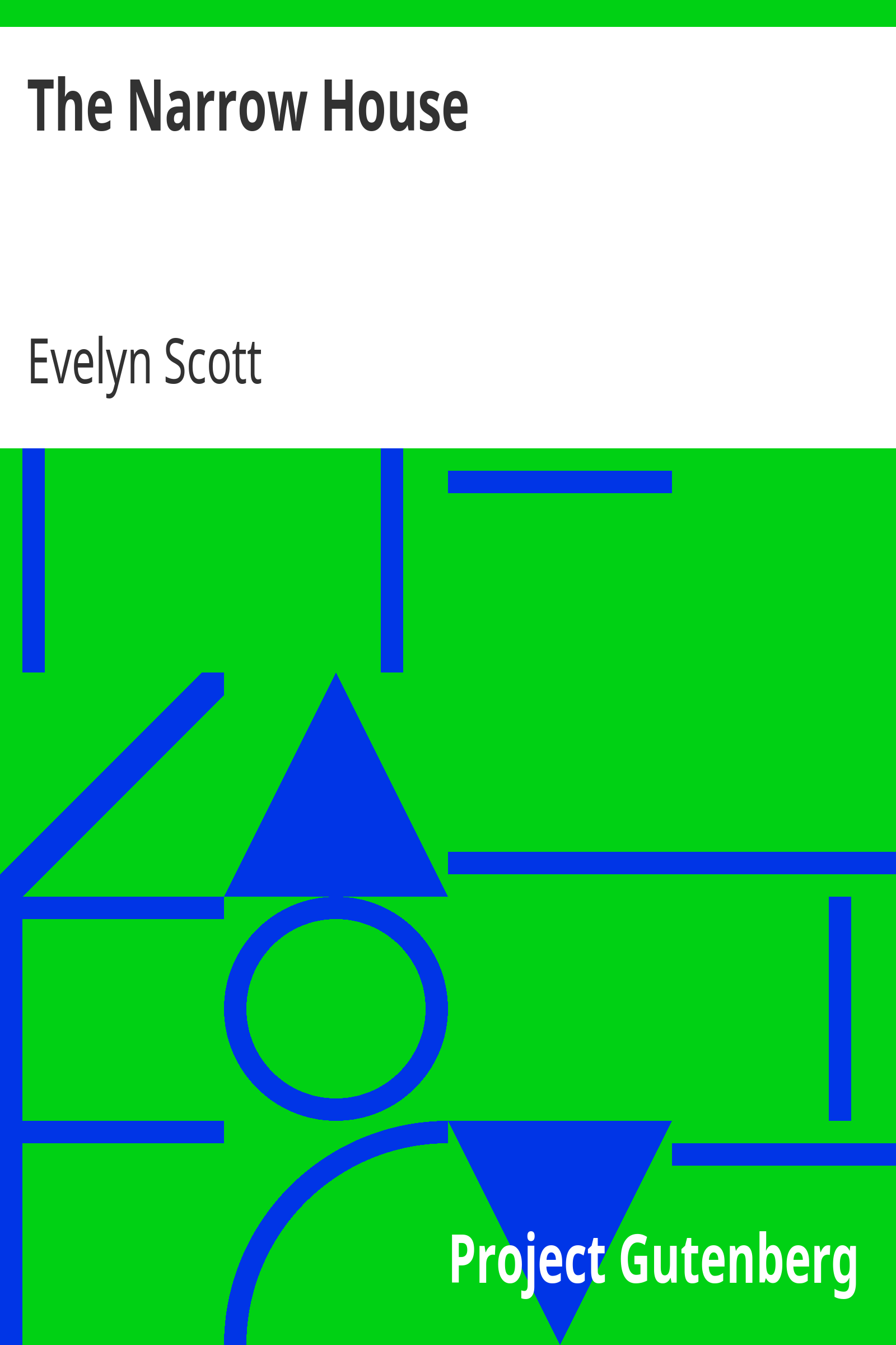 The Narrow House cover