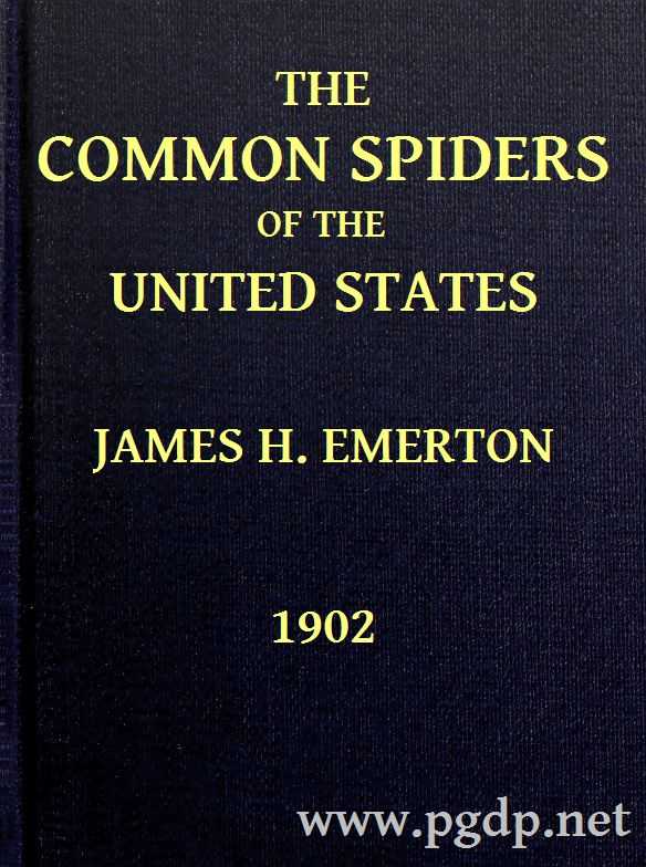 The Common Spiders of the United States cover