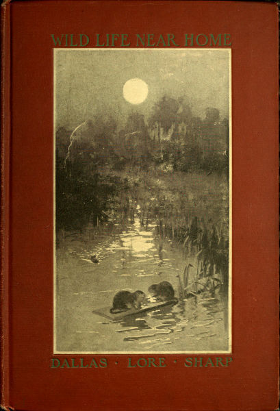 Wild Life Near Home cover