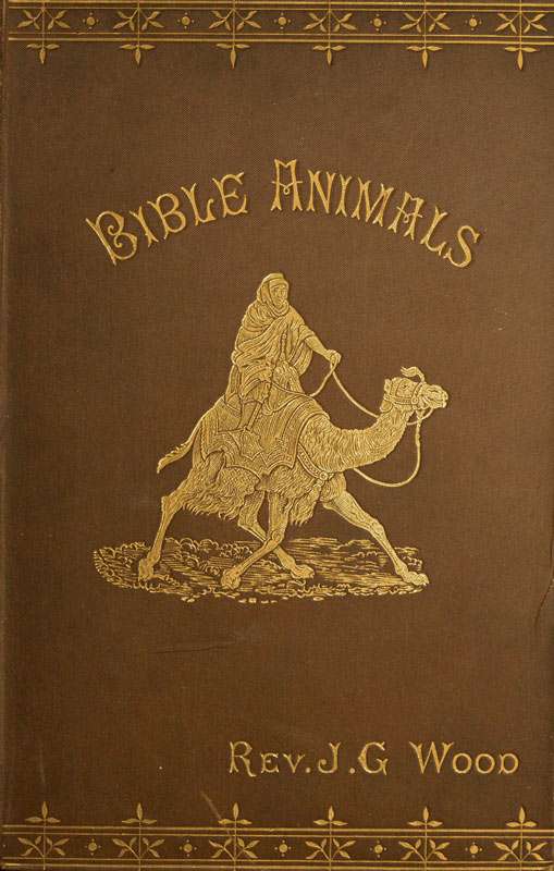 Bible animals cover