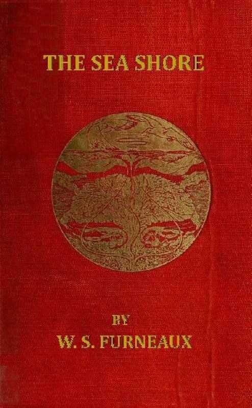 The Sea Shore cover
