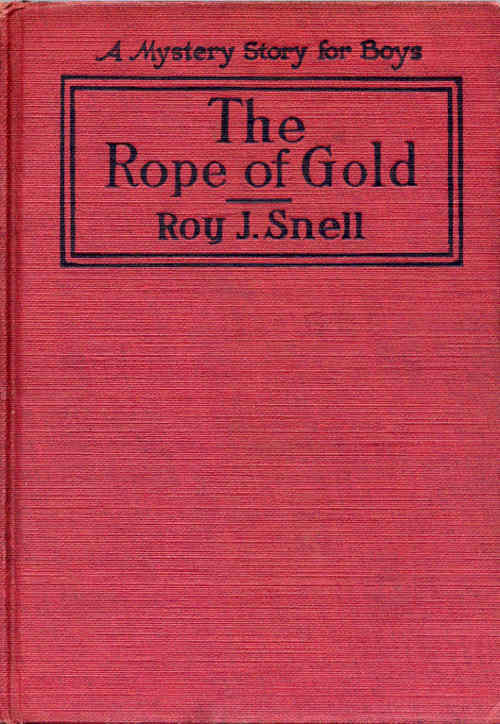 The Rope of Gold / A Mystery Story for Boys cover