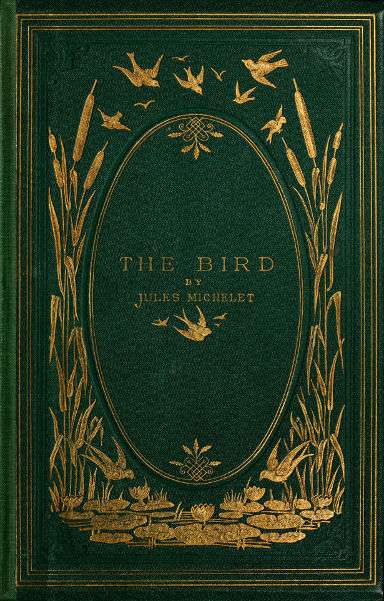 The Bird cover