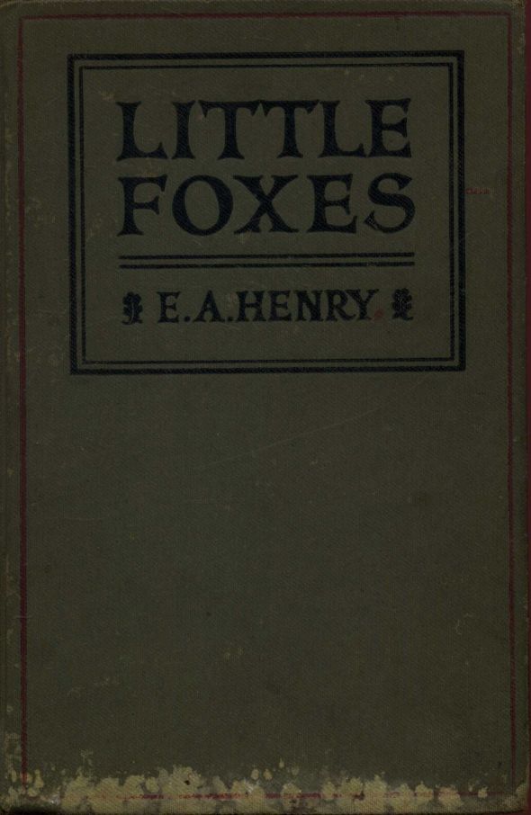 Little Foxes: Stories for Boys and Girls cover