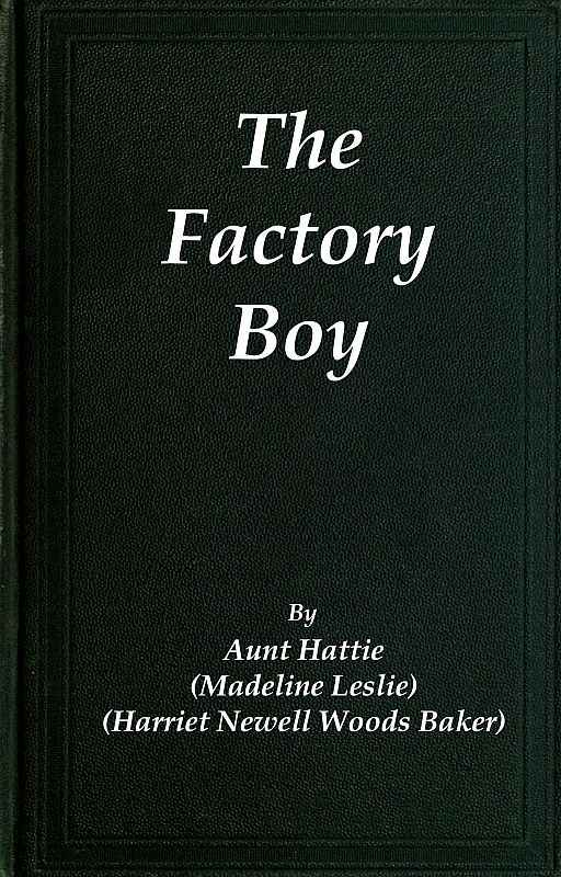 The Factory Boy cover