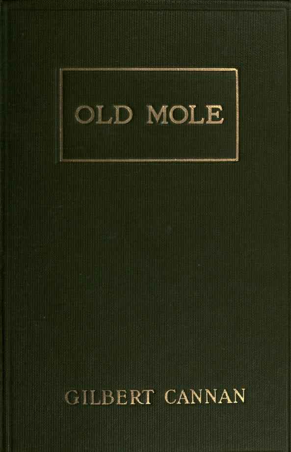 Old Mole / Being the Surprising Adventures in England of Herbert Jocelyn Beenham, M.A., Sometime Sixth-Form Master at Thrigsby Grammar School in the County of Lancaster cover