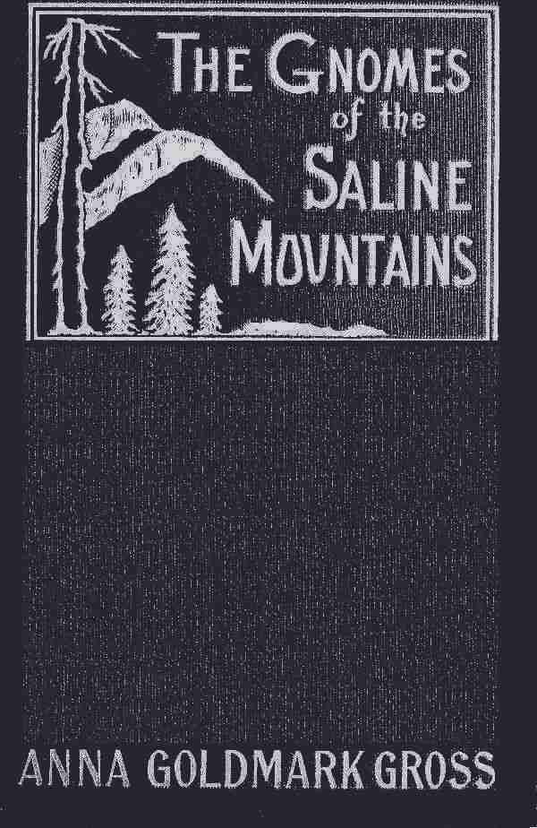 The Gnomes of the Saline Mountains: A Fantastic Narrative cover