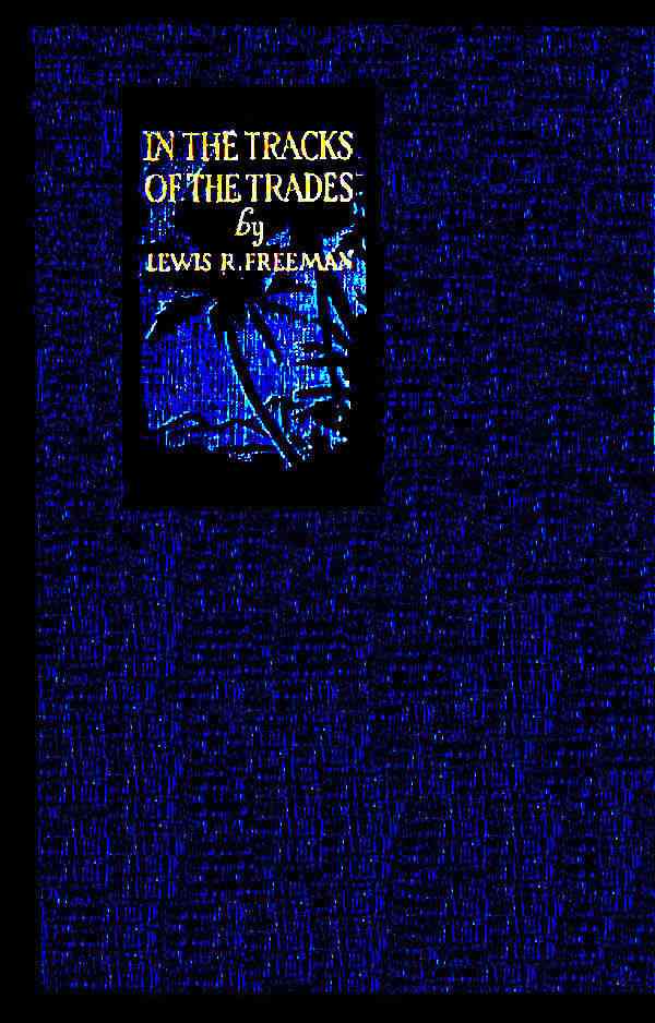 In the Track of the Trades / The Account of a Fourteen Thousand Mile Yachting Cruise to the Hawaiis, Marquesas, Societies, Samoas and Fijis cover