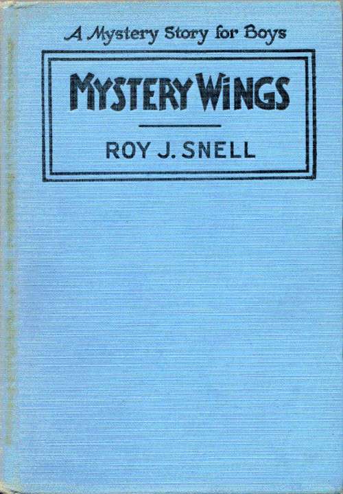 Mystery Wings / A Mystery Story for Boys cover