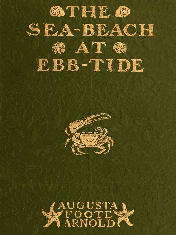 The Sea-beach at Ebb-tide / A Guide to the Study of the Seaweeds and the Lower Animal Life Found Between Tide-marks cover