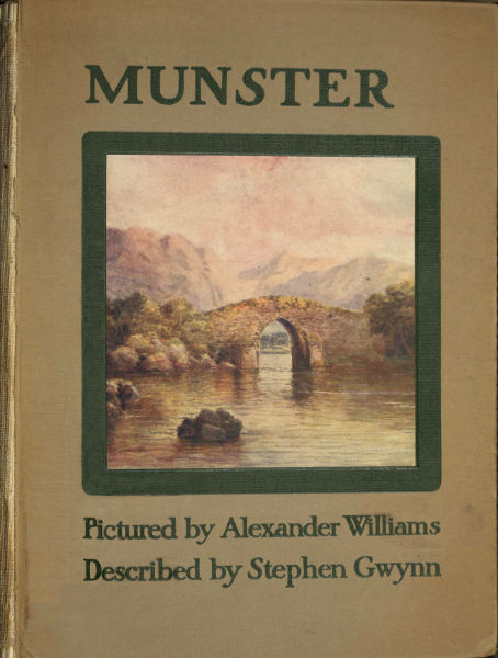 Munster cover