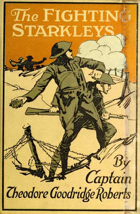 The Fighting Starkleys; or, The Test of Courage cover