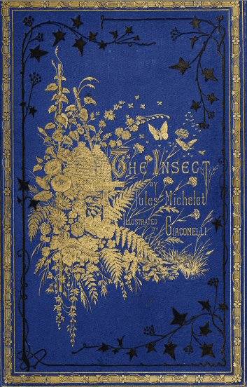 The Insect cover