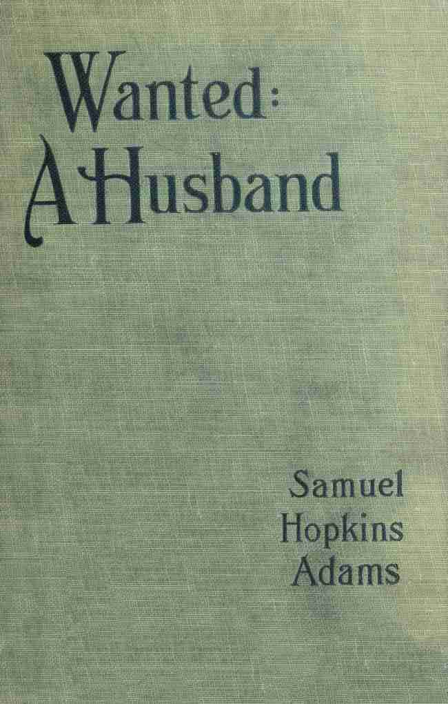 Wanted: A Husband. A Novel cover