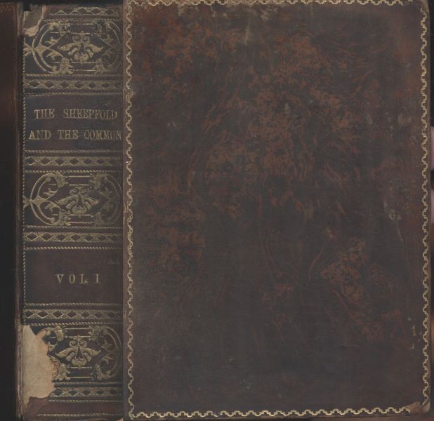 The Sheepfold and the Common; Or, Within and Without. Vol. 1 (of 2) cover