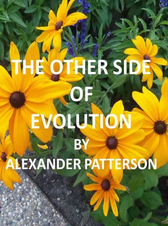 The Other Side of Evolution: Its Effects and Fallacy cover