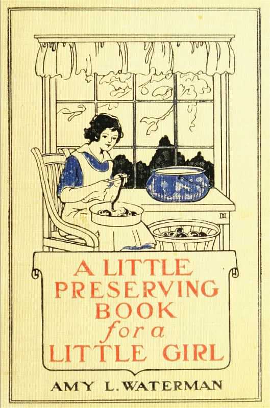 A Little Preserving Book for a Little Girl cover