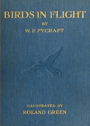 Birds in Flight cover