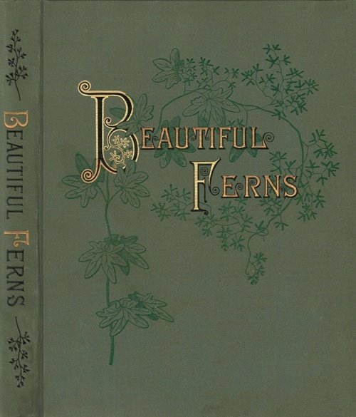 Beautiful Ferns cover