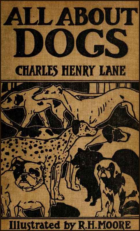 All About Dogs: A Book for Doggy People cover