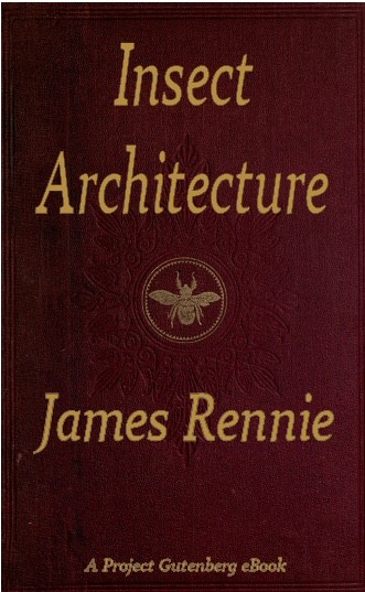 Insect Architecture cover