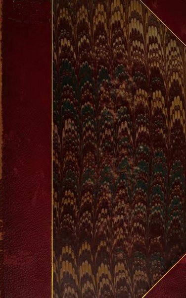 Facts and Speculations on the Origin and History of Playing Cards cover
