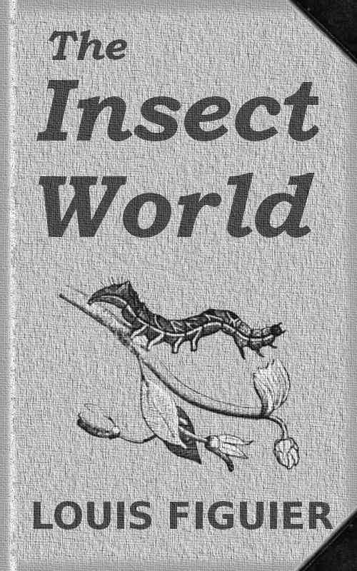 The Insect World / Being a Popular Account of the Orders of Insects; Together with a Description of the Habits and Economy of Some of the Most Interesting Species cover