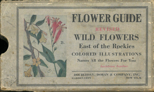 Flower Guide: Wild Flowers East of the Rockies / (Revised and with New Illustrations) cover