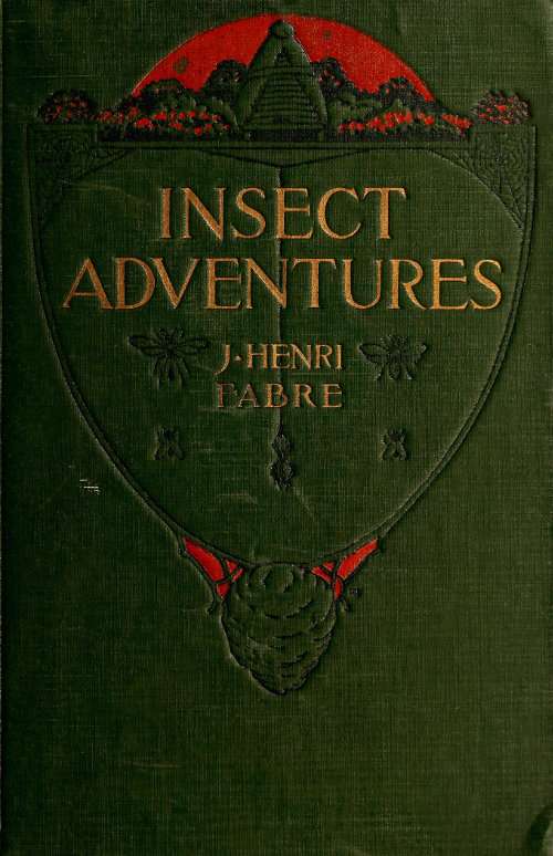 Insect Adventures cover