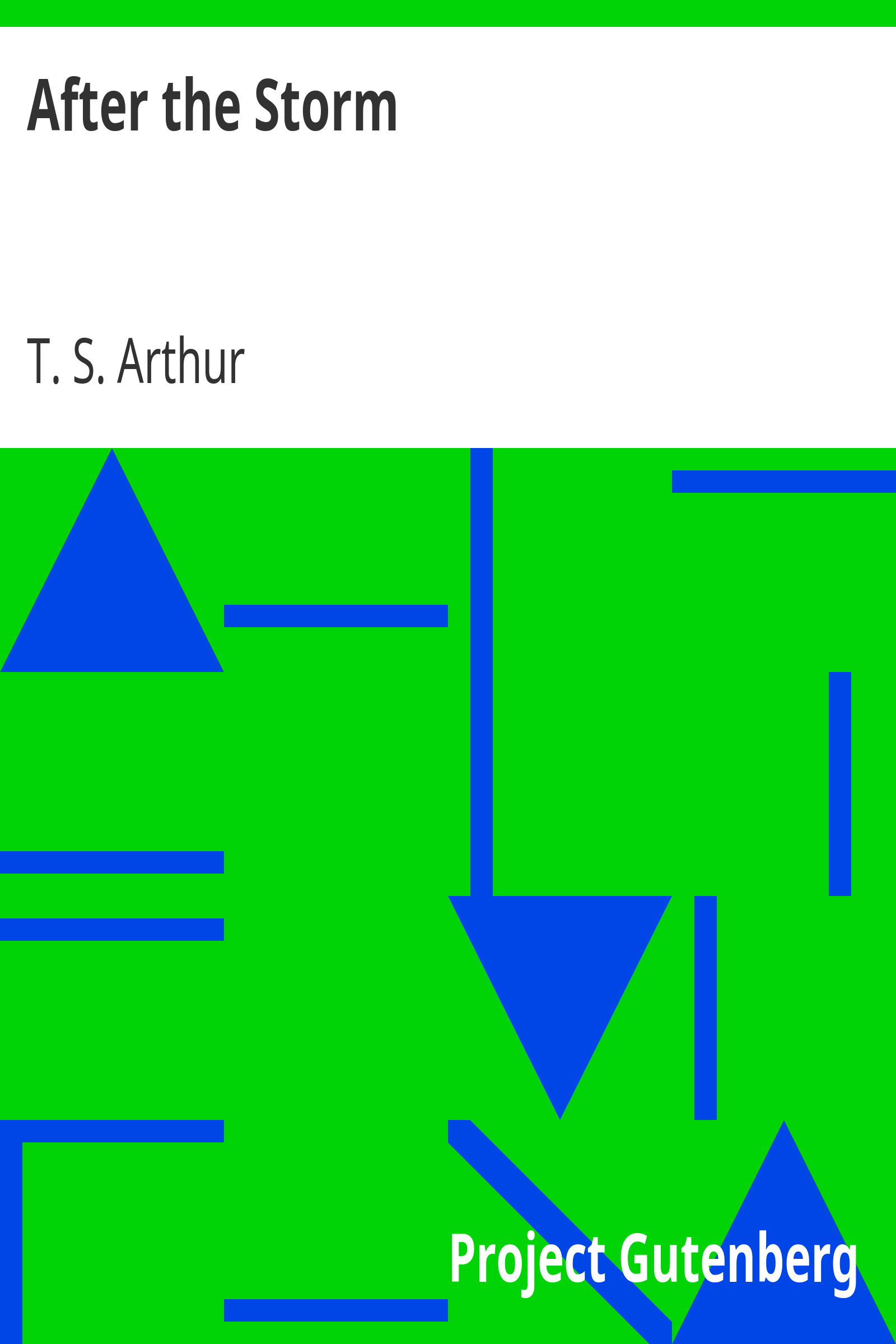 After the Storm cover