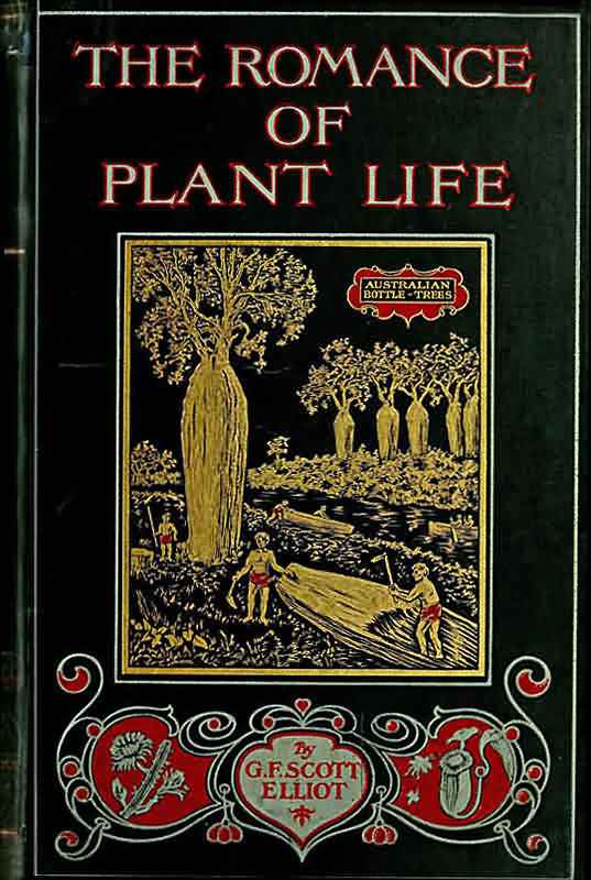The Romance of Plant Life / Interesting Descriptions of the Strange and Curious in the Plant World cover