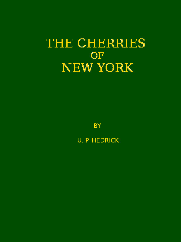 The cherries of New York cover
