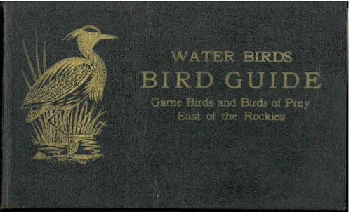Bird Guide: Water Birds, Game Birds, and Birds of Prey East of the Rockies cover