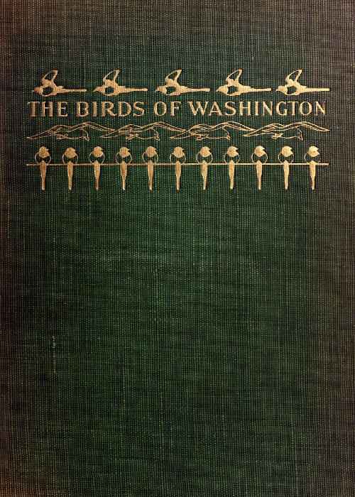 The Birds of Washington (Volume 1 of 2) / A complete, scientific and popular account of the 372 species of birds found in the state cover