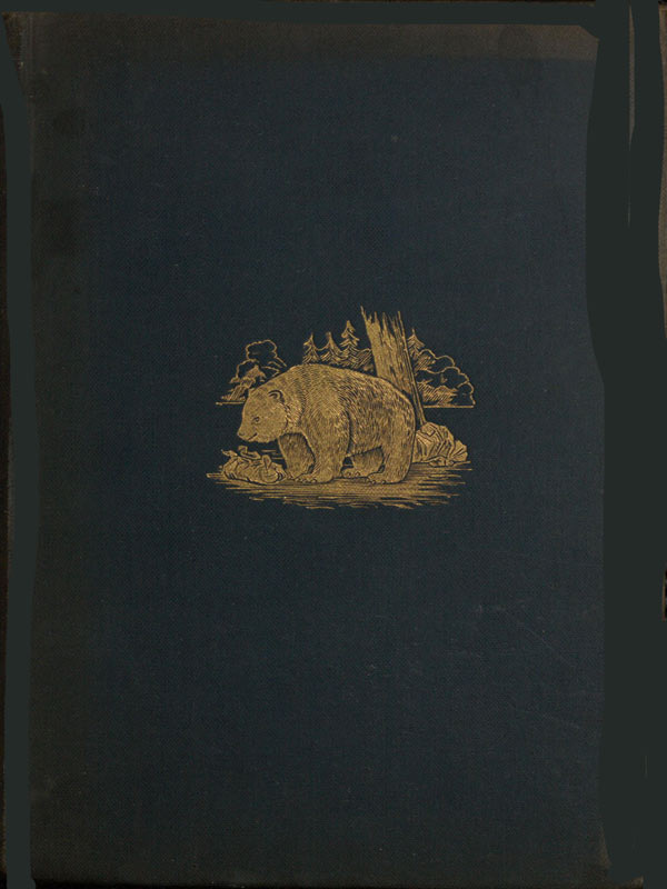 The Romance of the Woods cover