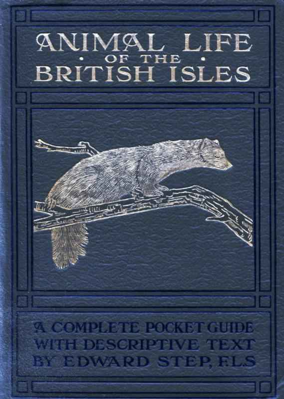 Animal Life of the British Isles / A Pocket Guide to the Mammals, Reptiles and Batrachians of Wayside and Woodland cover