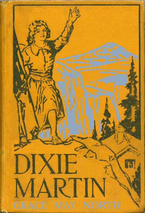 Dixie Martin, the Girl of Woodford's Cañon cover