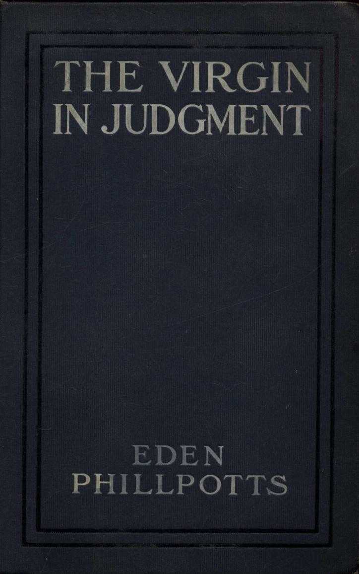 The Virgin in Judgment cover
