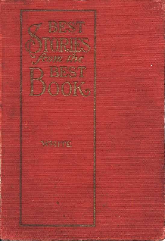 Best Stories from the Best Book: An Illustrated Bible Companion for the Home cover