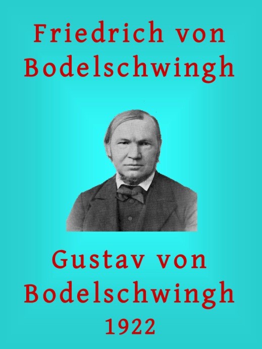 Friedrich v. Bodelschwingh: Ein Lebensbild cover