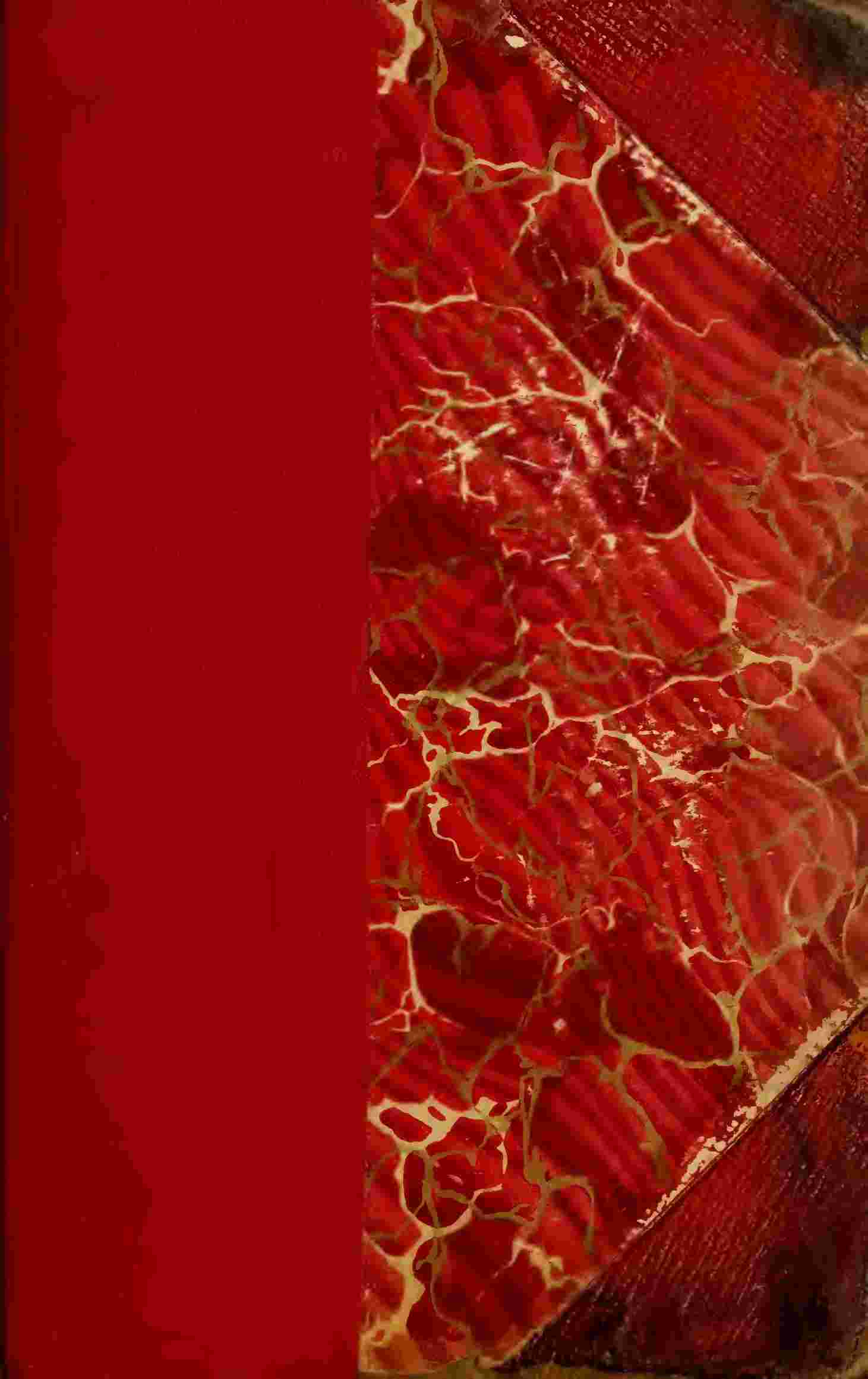 The Bride of Lammermoor cover