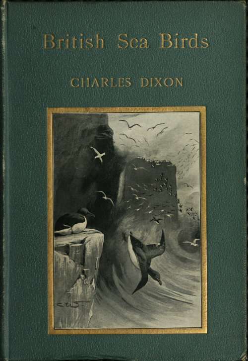 British Sea Birds cover